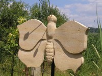 motyl_1